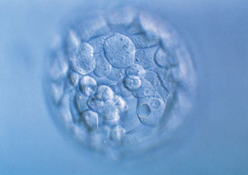 惠州东方不孕不育生育力评估与诊疗方案